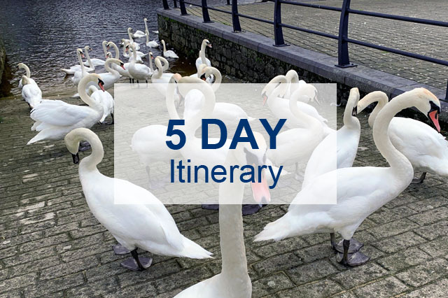 5-day