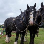 2019 Ploughing Championships