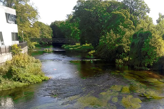 tullow